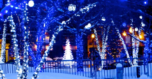 A winter scene with trees adorned in blue and white lights, featuring a glowing white Christmas tree in the background.