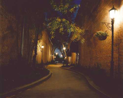 A dimly lit alleyway lined with brick walls, street lamps, and trees, creating a serene nighttime atmosphere.