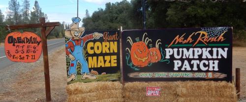 Signage for a corn maze and pumpkin patch, with hours and dates, set against a rural backdrop.