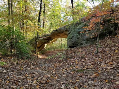 A natural rock arch surrounded by trees and autumn foliage, with a dirt path covered in fallen leaves.