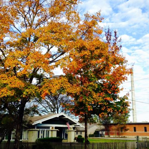 A cozy house surrounded by vibrant autumn trees with orange and yellow leaves under a partly cloudy sky.