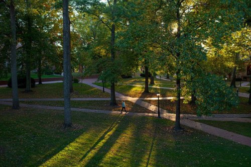 A person walks along a path in a park, surrounded by trees and dappled sunlight in the late afternoon.