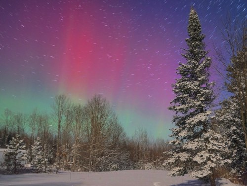 A snowy landscape under a vibrant aurora borealis with swirling colors of pink and green in the night sky.