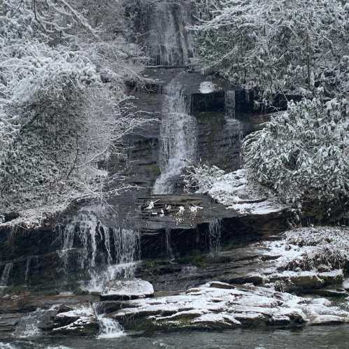 A snowy landscape featuring a waterfall cascading over rocks, surrounded by trees and a serene, icy atmosphere.