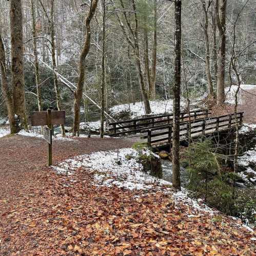 A snowy path leads to a wooden bridge over a stream, surrounded by trees and fallen leaves.