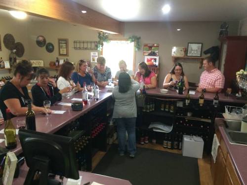 A group of women and a man gather at a wine bar, enjoying drinks and conversation at the counter.