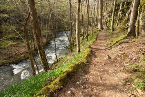 A winding dirt path alongside a flowing river, surrounded by trees and lush greenery in a serene forest setting.