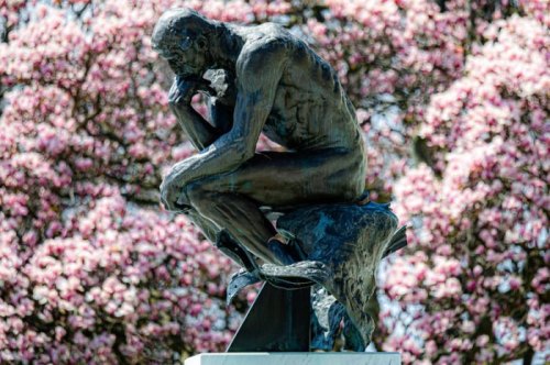 A bronze statue of a seated thinker surrounded by blooming pink flowers.