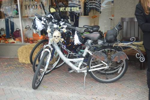 Decoratively adorned bicycles with Halloween themes, featuring a skull, spider webs, and a black cat.