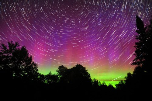 A vibrant night sky with swirling stars and colorful auroras, framed by silhouetted trees.