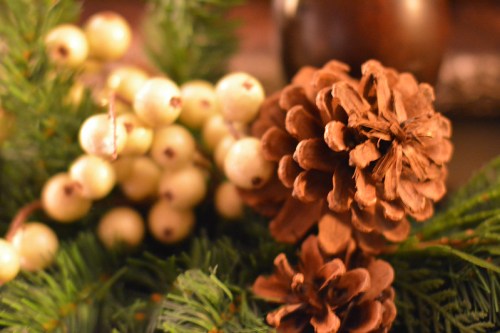 A close-up of pinecones and white berries nestled among green pine branches.