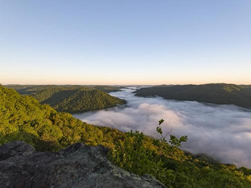 A panoramic view of lush green hills above a sea of fog, with a clear blue sky in the background.