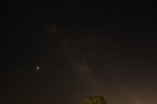 A starry night sky with a visible Milky Way and a bright planet on the left, silhouetted by a tree at the bottom.