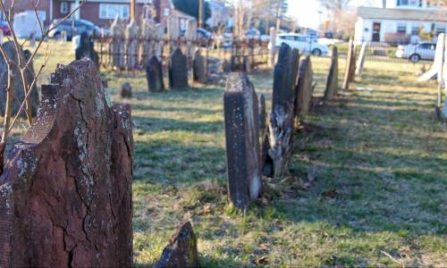 A row of weathered gravestones in a grassy cemetery, with a fence and houses in the background.