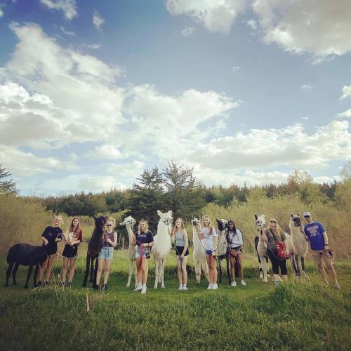 A group of young people poses with several horses in a grassy field under a blue sky with fluffy clouds.