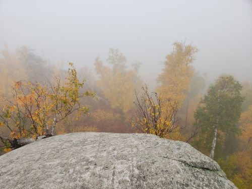 A foggy landscape with a rocky outcrop and trees displaying autumn colors in the background.