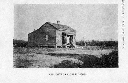 Black and white image of a small wooden house labeled "600 Cotton Pickers House" with a dirt path in front.