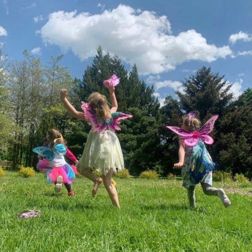 Three children in fairy costumes with wings play joyfully in a grassy field under a blue sky with fluffy clouds.