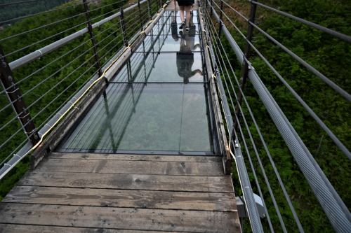 A person walks on a glass-bottomed bridge surrounded by lush greenery, with a wooden walkway visible beneath.