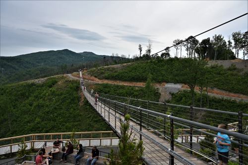 A suspension bridge connects two hills, with people walking and sitting on a viewing platform surrounded by greenery.