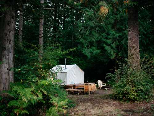 A cozy camping setup with a white tent and wooden furniture surrounded by tall trees and lush greenery.