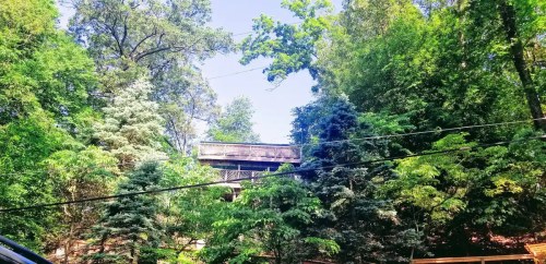 A view of a bridge partially obscured by lush green trees and foliage under a clear blue sky.