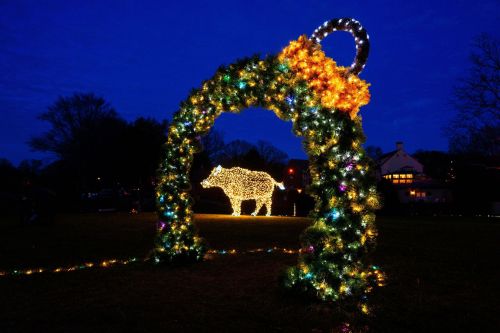 A festive arch adorned with lights, featuring a glowing bear silhouette in the background against a twilight sky.