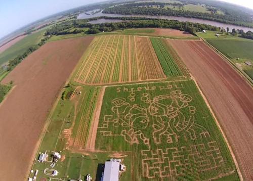 Aerial view of a corn maze featuring cartoon characters and the word "Shreveport" in a rural landscape.