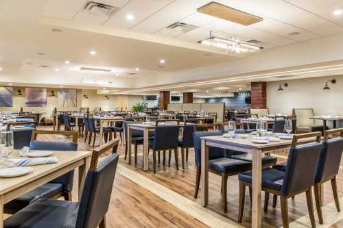 A modern restaurant interior featuring wooden tables, blue chairs, and a spacious dining area with soft lighting.