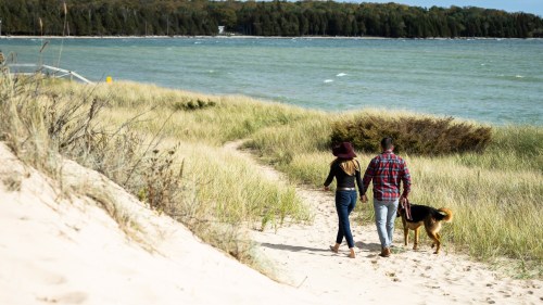 A couple walks hand in hand with a dog along a sandy path by the water, surrounded by tall grass and trees.