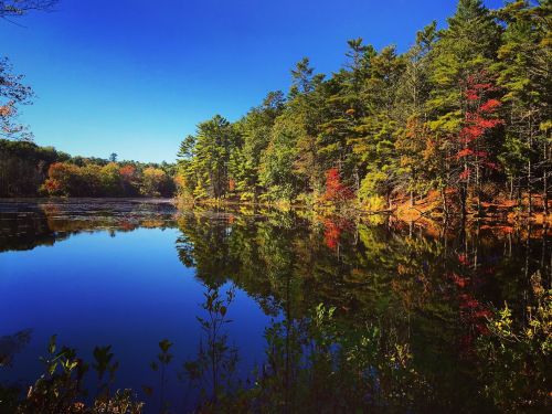 A serene lake surrounded by colorful autumn trees reflecting in the calm water under a clear blue sky.