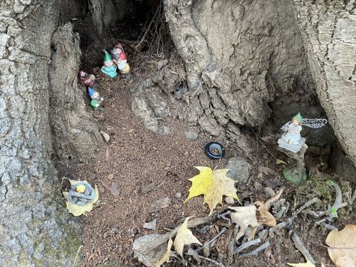 A whimsical scene inside a tree trunk featuring small gnome figurines and scattered leaves and stones.