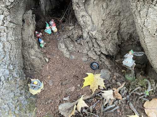 A whimsical scene inside a tree trunk featuring small gnome figurines and scattered leaves and stones.