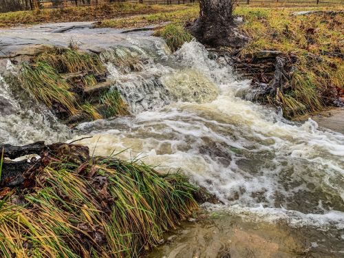 A small waterfall flows over rocks, surrounded by grass and fallen leaves in a natural setting.