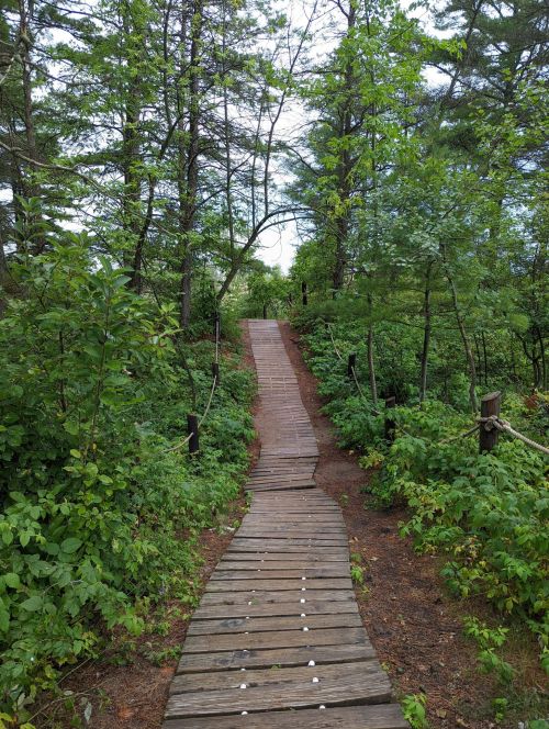 A wooden path leads through lush greenery and trees, inviting exploration into the natural surroundings.