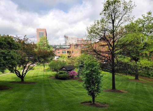 A lush green park with trees and shrubs, set against a backdrop of buildings and a cloudy sky.