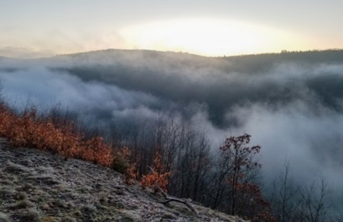 A misty landscape at dawn, with fog rolling over hills and bare trees, and a hint of sunlight in the sky.