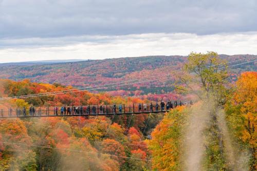 A suspension bridge filled with people, surrounded by vibrant autumn foliage in a scenic landscape.