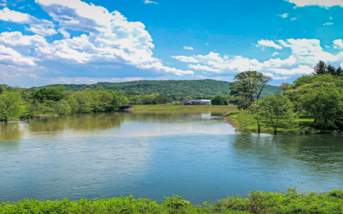 A serene river scene with lush greenery, trees, and a blue sky filled with fluffy clouds.