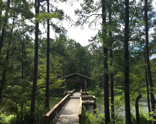 A wooden walkway leads to a gazebo surrounded by lush green trees and a calm water body.