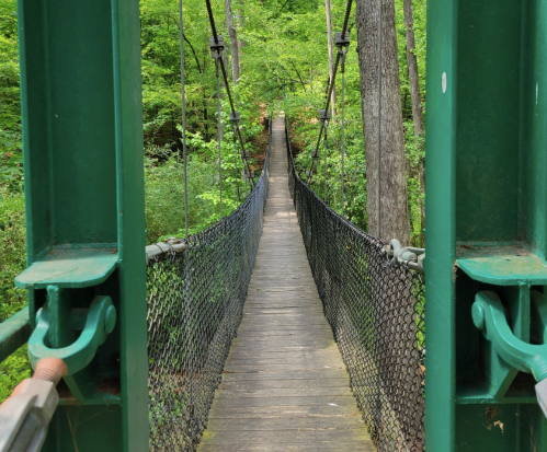 A suspension bridge stretches into a lush green forest, surrounded by tall trees and vibrant foliage.