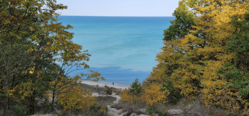 A serene view of a beach framed by trees with vibrant autumn leaves, overlooking calm blue waters.