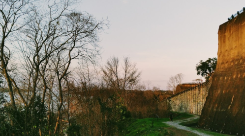 A scenic view of a pathway beside a tall wall, with bare trees and a soft sunset in the background.