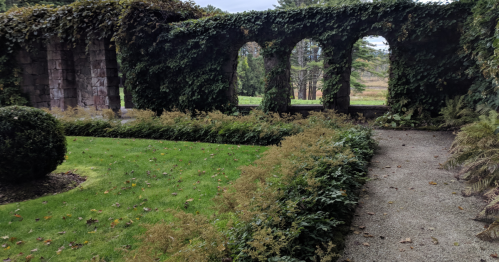 Lush garden with stone arches covered in ivy, surrounded by greenery and a gravel path.