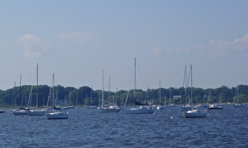 A serene view of sailboats anchored in a calm bay, with green trees lining the shore under a clear blue sky.