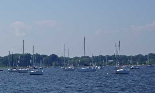 A serene view of sailboats anchored in a calm bay, with green trees lining the shore under a clear blue sky.