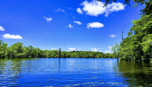 A serene lake surrounded by lush green trees under a bright blue sky with fluffy white clouds.