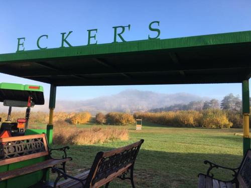 A green shelter with "Ecker's" sign overlooks a misty landscape with benches and colorful foliage.