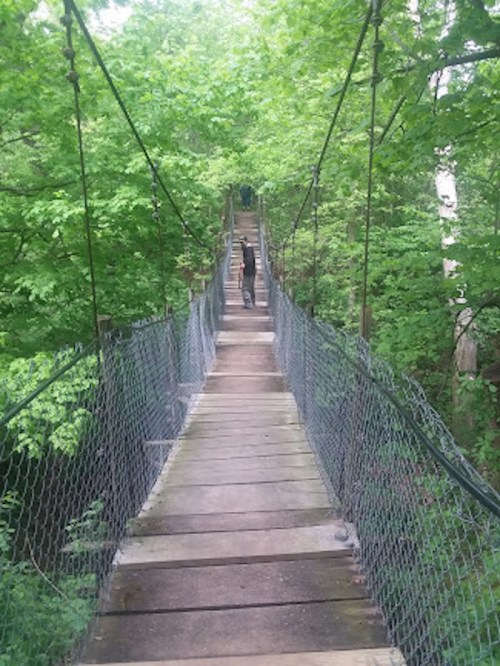 A person walks on a wooden suspension bridge surrounded by lush green trees.