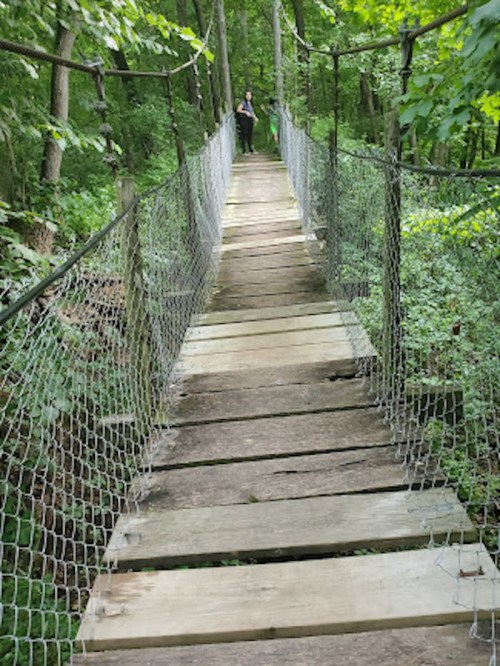 A narrow wooden bridge with a netted railing stretches through a lush green forest, with a person standing in the distance.